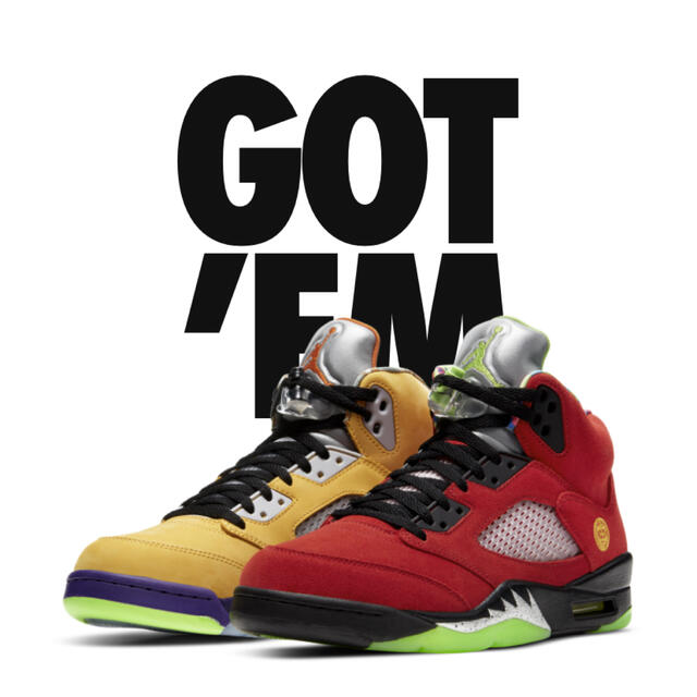 27.5cm NIKE AIR JORDAN 5 What The