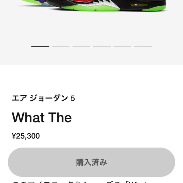 28.5㎝ NIKE AIR JORDAN 5 WHAT THE