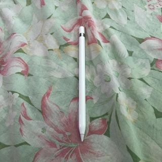 アップル(Apple)のapple pencil 第一世代(その他)