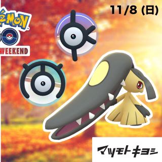 ポケモンGo マツキヨ　参加券(その他)