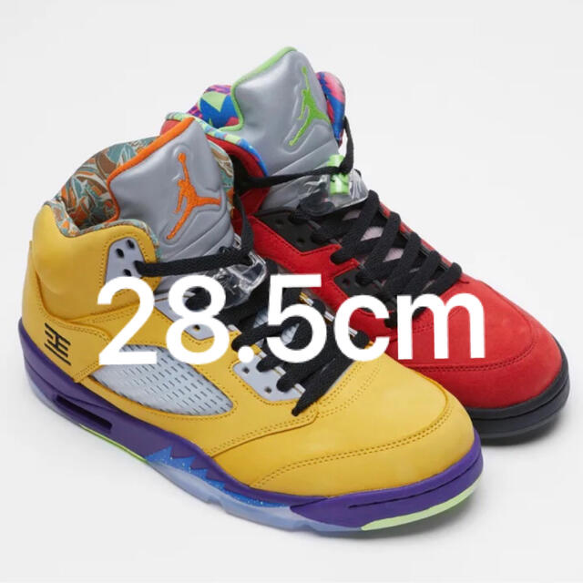 NIKE AIR JORDAN 5 ナイキエアジョーダン5 28.5cm