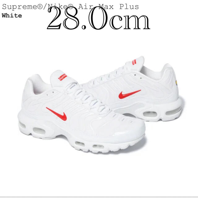 Supreme(シュプリーム)のSupreme Nike Air Max Plus シュプリーム ナイキ メンズの靴/シューズ(スニーカー)の商品写真