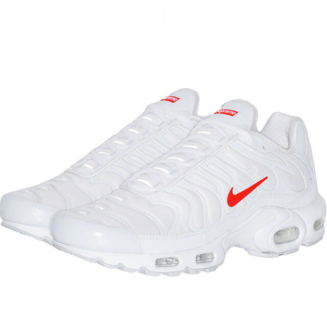 Supreme®/Nike® Air Max Plus    28.5cm