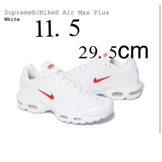 Supreme Nike® Air Max Plusメンズ