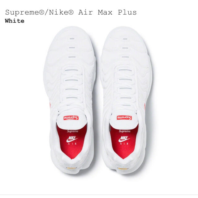 Supreme(シュプリーム)のSupreme Nike® Air Max Plus メンズの靴/シューズ(スニーカー)の商品写真