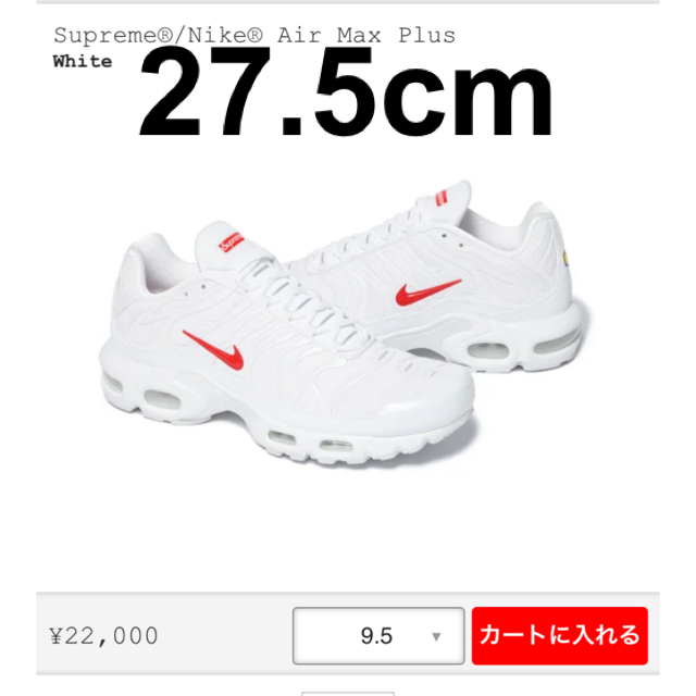 Supreme®/Nike® Air Max Plus 27.5 us9.5