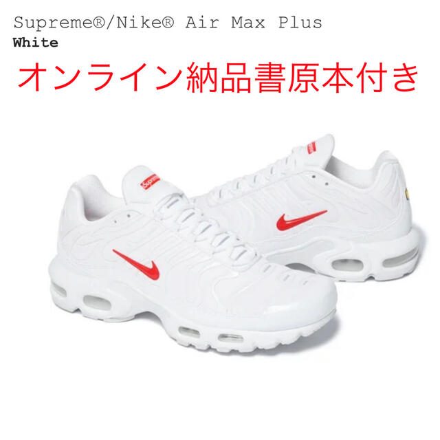 Supreme/Nike Air Max Plus