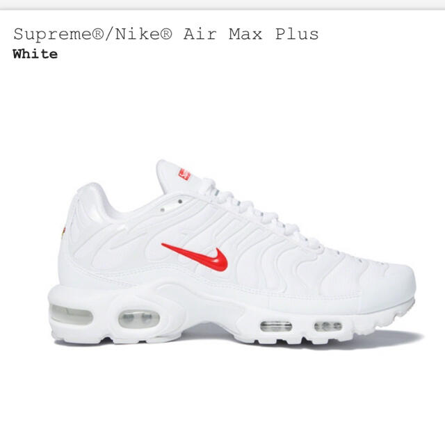 supreme Nike Air Max Plus  White 27cm