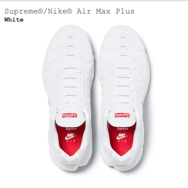 supreme Nike Air Max Plus  White 27cm