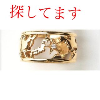 スタージュエリー(STAR JEWELRY)のスタージュエリー　地球アース　ピンキーリング(リング(指輪))