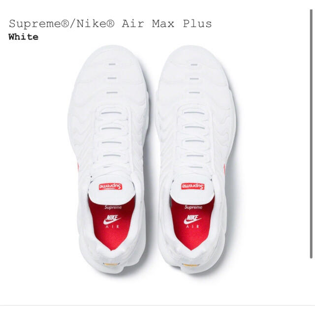 Supreme Nike® Air Max Plus