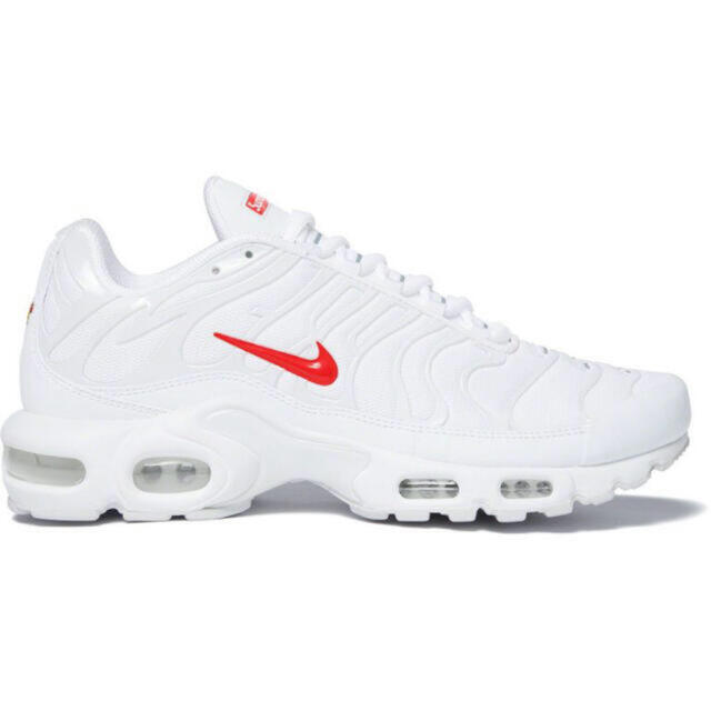 Supreme Nike Air Max Plus シュプリーム ナイキ　27