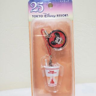 ディズニー(Disney)のディズニーランド　ストラップ　キーホルダー　25周年(キャラクターグッズ)