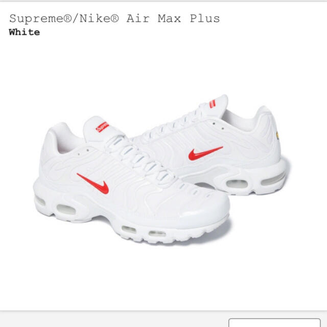 靴/シューズSupreme Nike Air Max Plus 白 26 国内正規品　新品