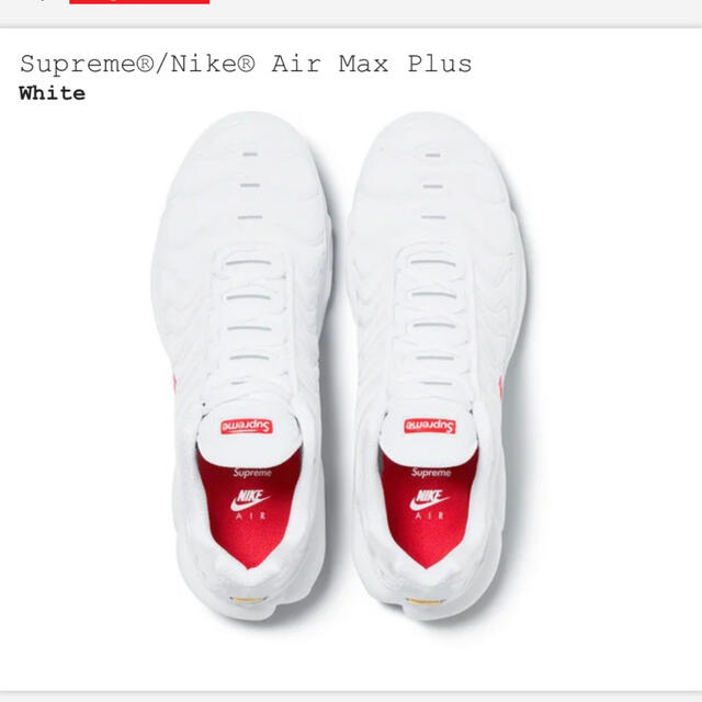 Supreme Nike Air Max Plus 28cm 2
