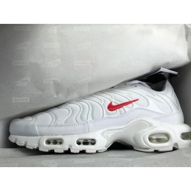 Supreme Nike Air Max Plus  White