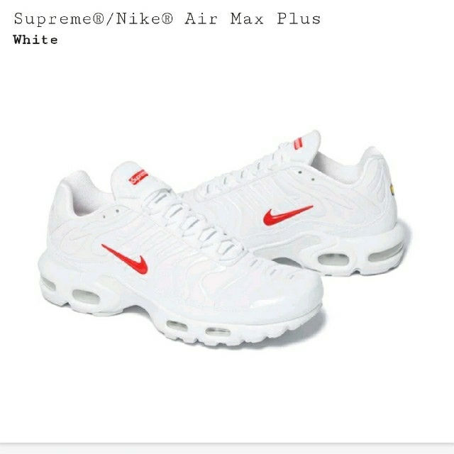 Supreme Nike Air Max Plus