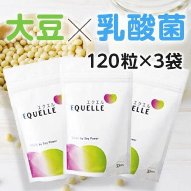 エクエル新品◆3セット 大塚製薬 エクエル パウチタイプ 120粒エクオール乳酸菌