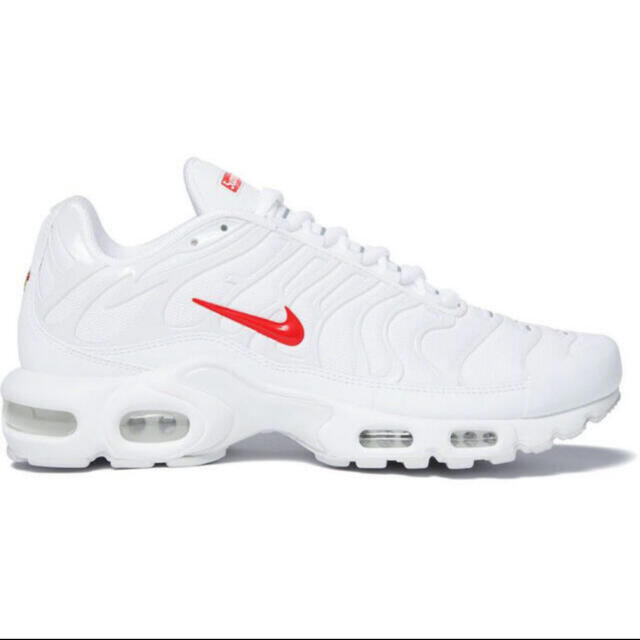 SUPREME NIKE AIR MAX PLUS US9.5 JP27.5cm