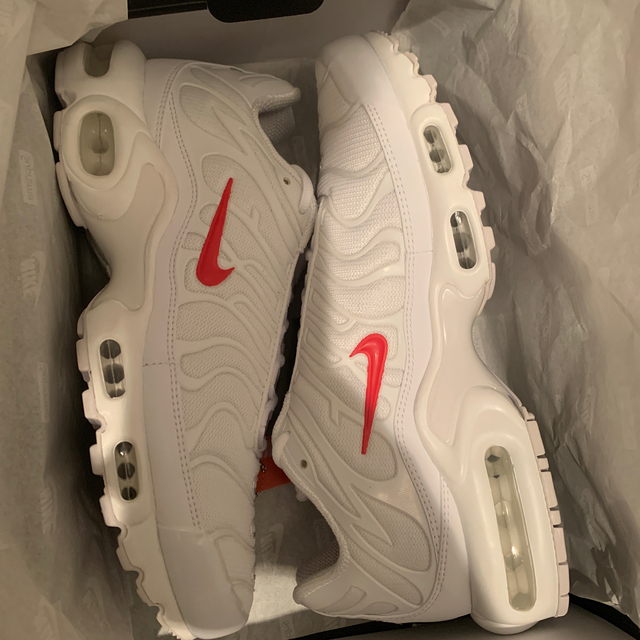 Supreme Nike Air Max Plus 27cm