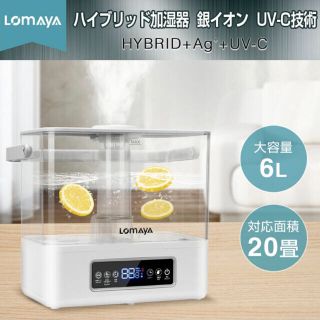 加湿器 ハイブリッド 銀イオン 大容量6L ホワイト(加湿器/除湿機)