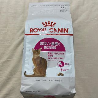 ロイヤルカナン(ROYAL CANIN)のロイヤルカナン FHN セイバーエクシジェント 猫用 2kg(ペットフード)