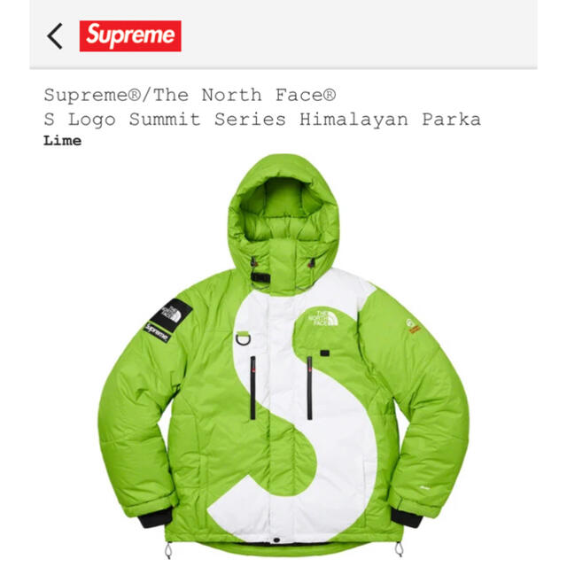 Supreme(シュプリーム)のSupreme®/The North Face® S Logo ダウン メンズのジャケット/アウター(ダウンジャケット)の商品写真