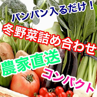 採れたて発送冬野菜詰め合わせコンパクトぱんぱん発送‼️送料無料(野菜)