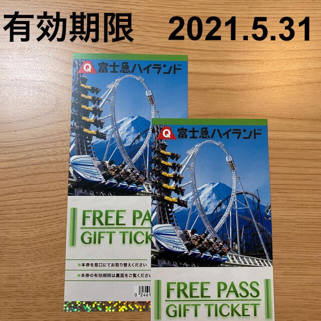 富士急ハイランド フリーパス 2枚組 | distrasa.transvelez.com