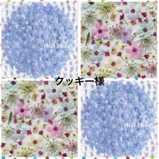 *＊♡クッキー様専用押し花アソート♡＊*(各種パーツ)