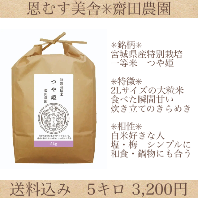 乾山写し観世波茶碗 平安 三徳窯 尚作(共箱)