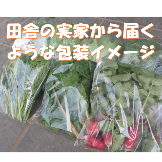 安全・安心　冬野菜詰め合わせ　８０サイズ　１２月１３日以降の発送 食品/飲料/酒の食品(野菜)の商品写真