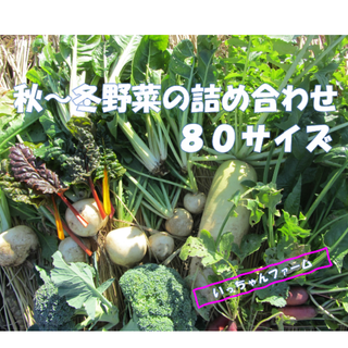 安全・安心　冬野菜詰め合わせ　８０サイズ　１２月１３日以降の発送(野菜)