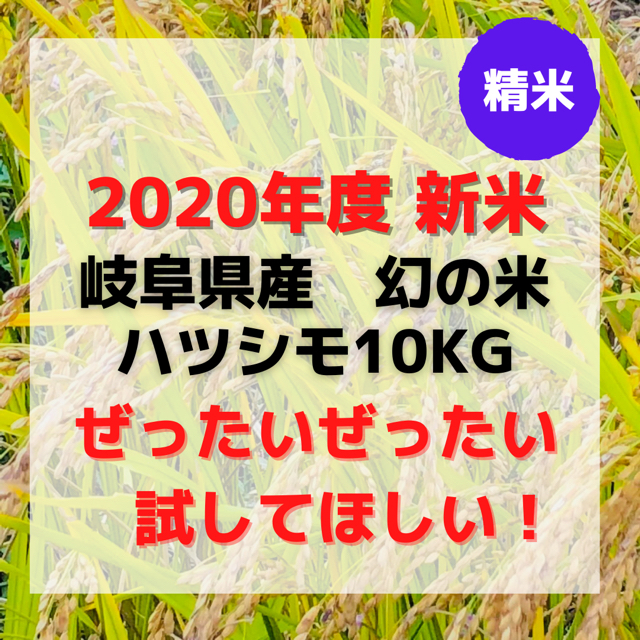 2020年度　新米岐阜県産ハツシモ　玄米10キロ　精米あり