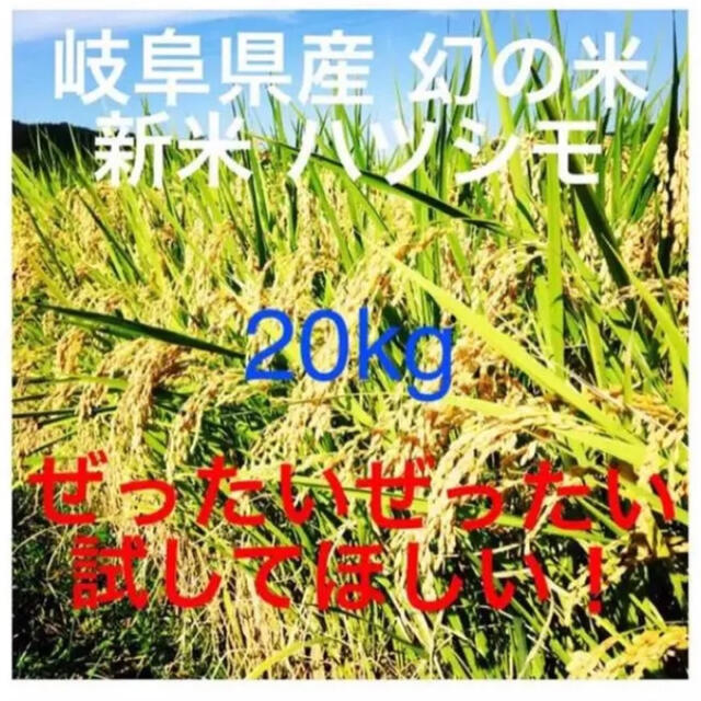 玄米20キロ　新米岐阜県産はつしも　2020年度　米/穀物