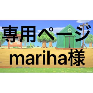 ニンテンドースイッチ(Nintendo Switch)の【mariha様専用ページ】(カード)