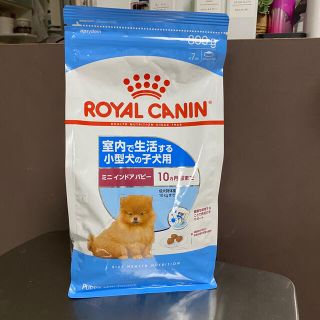 ロイヤルカナン(ROYAL CANIN)のロイヤルカナン　ミニインドアパピー　800g お試しにも(ペットフード)