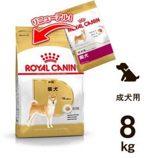 ロイヤルカナン(ROYAL CANIN)の数量限定特別価格！ロイヤルカナン柴犬8kg　ドライフード(ペットフード)