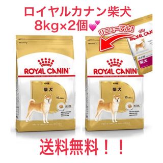 ロイヤルカナン(ROYAL CANIN)のロイヤルカナン柴犬　ドライフード8kg×2個(ペットフード)