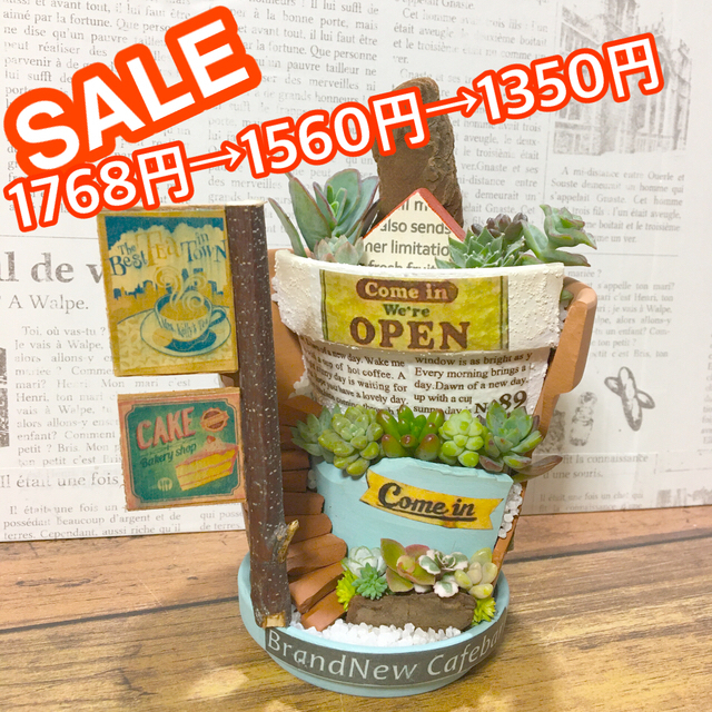 ☆SALE中☆多肉植物の寄せ植え　丘の上のカフェバー2号店 ハンドメイドのフラワー/ガーデン(その他)の商品写真