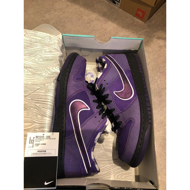 Nike dunk sb purple lobster concepts