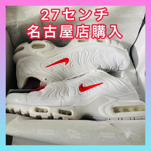 27.0 supreme Nike air max plus シュプリーム