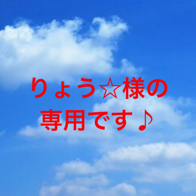 ≪超目玉☆12月≫ りょう☆様の専用です♪ 雑貨 - aaculturalfestival.com