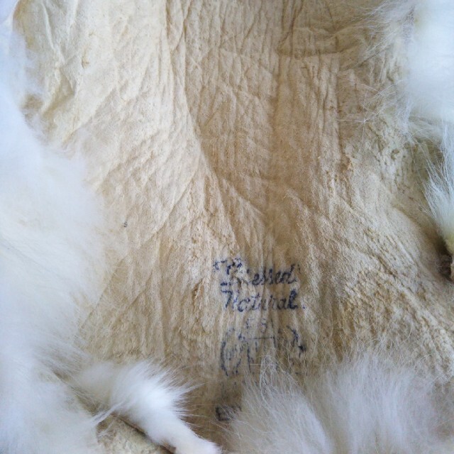 縁起物　白キツネ　毛皮 レディースのジャケット/アウター(毛皮/ファーコート)の商品写真