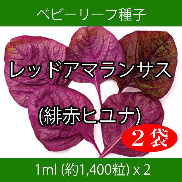 ベビーリーフ種子 B-38 レッドアマランサス(緋赤ヒユナ) 1ml x 2袋 食品/飲料/酒の食品(野菜)の商品写真