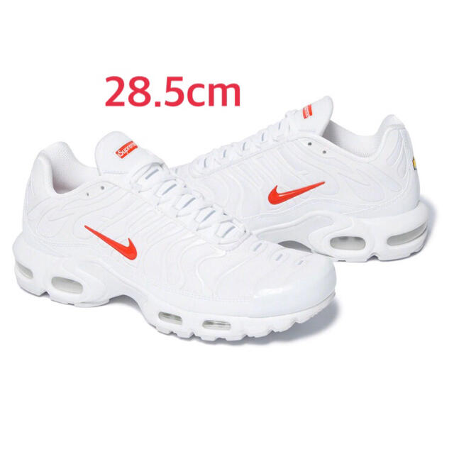 supreme Nike air max plus 28.5 マックスプラス