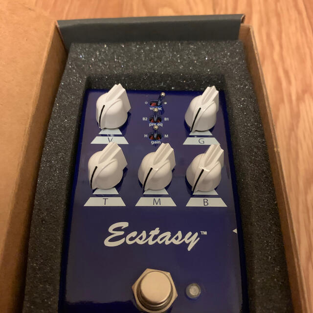 九月購入品　Bogner Ecstasy blue mini