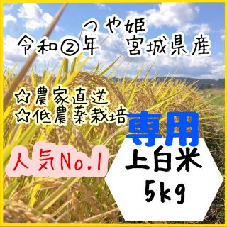 ☆専用品【農家直送】つや姫上白米5kg +つきあかり上白米1kg【送料無料】新米(米/穀物)