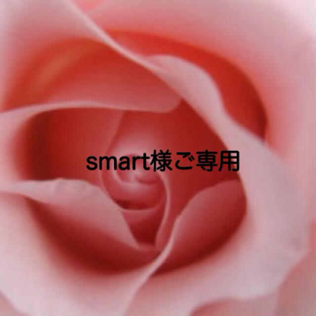 Lindt(リンツ)の🧸smart様ご専用🧸 食品/飲料/酒の食品(菓子/デザート)の商品写真