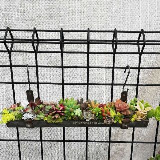 ティン桶プランター寄せ植え(プランター)